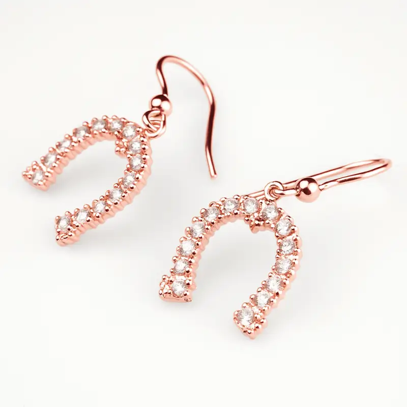 Promozione Orecchini con ferro di cavallo in argento rosato