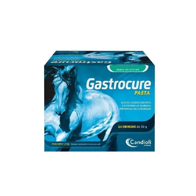 Candioli Gastrocure pasta 24 siringhe da 50g integratore gastroprotettore per cavalli Prezzo Scontato