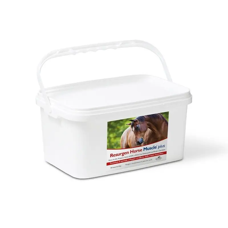 Acquista Ora NBF Lanes Resurgen Horse 20 buste integratore per cavalli