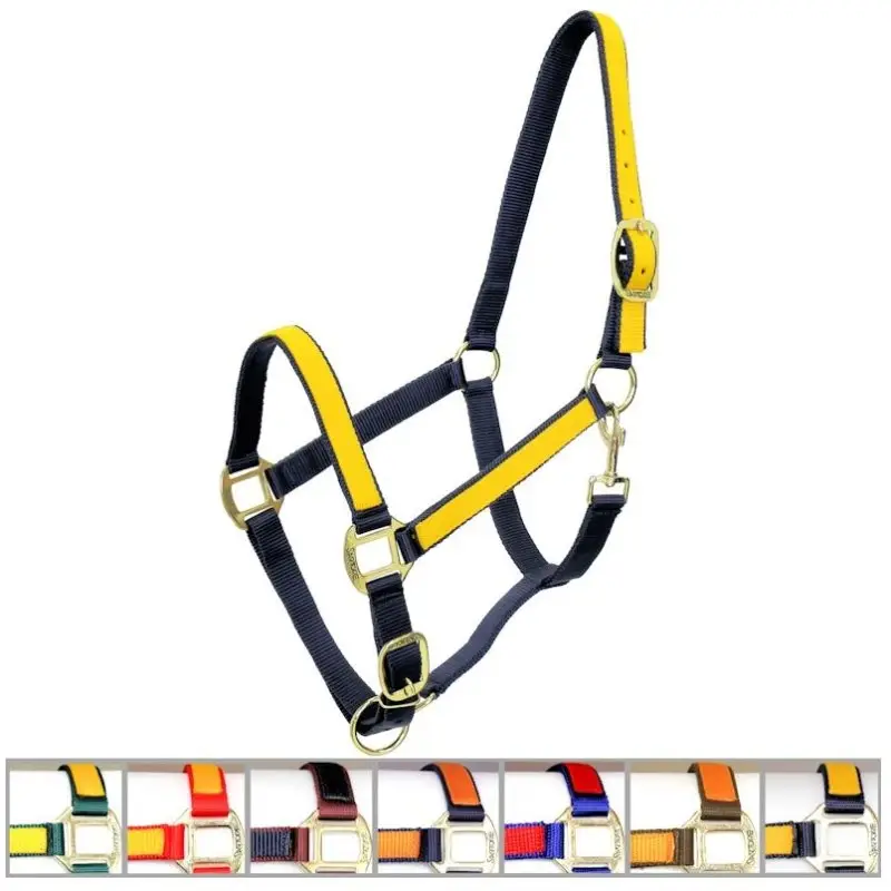 Popolare Winner Capezza in nylon bicolore