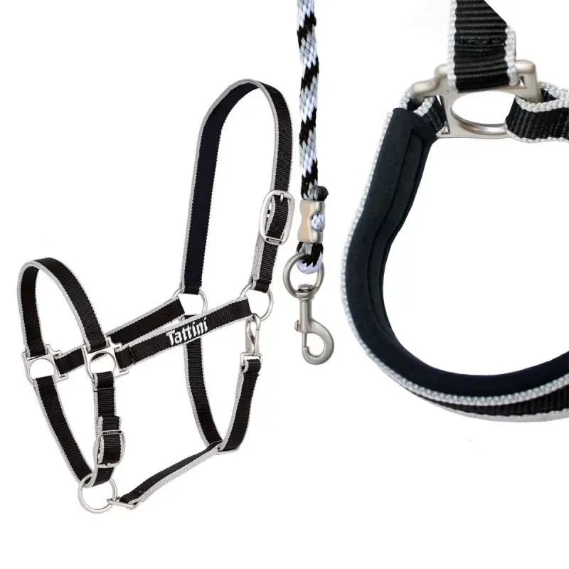 Tattini Capezza in doppio nylon e neoprene Subito Disponibile