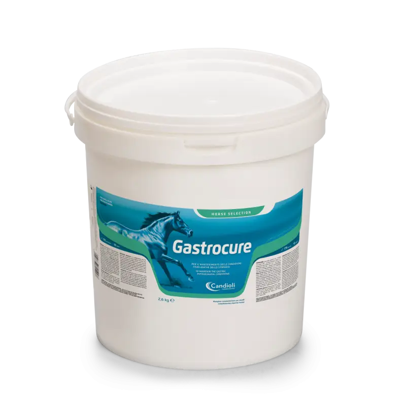 Candioli Gastrocure 2,6Kg integratore gastroprotettore per cavalli Professionale