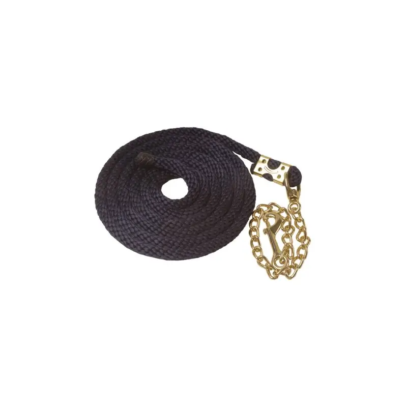 Offerta Del Giorno Umbria Equitazione lunghina con catena