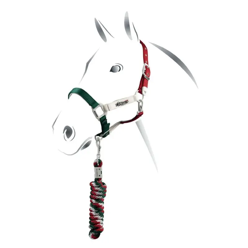 Equestro Cavezzina mod. Flaggy + lunghina Miglior Prezzo