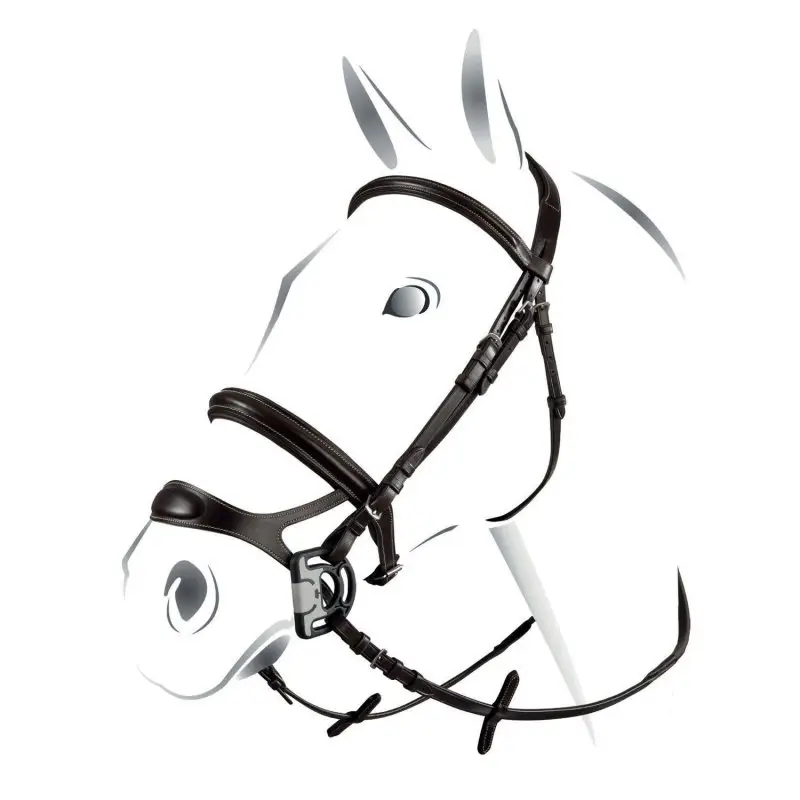 Equestro Testiera Combined Prezzo Conveniente