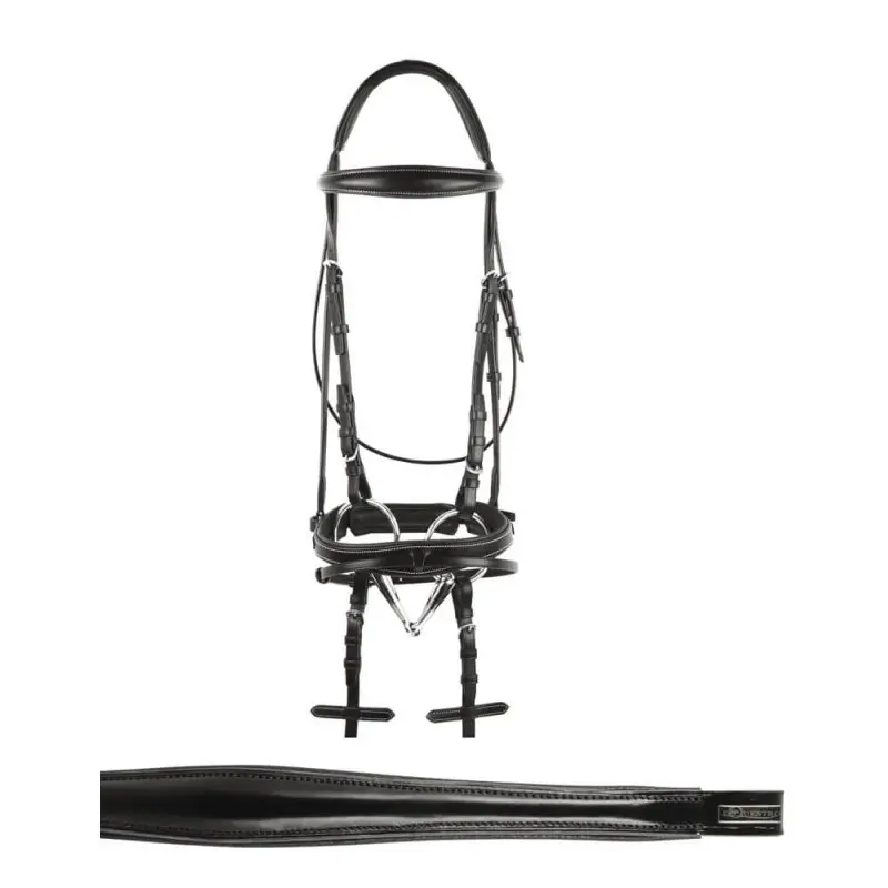 Offerta Equestro Briglia mod. Jubilee