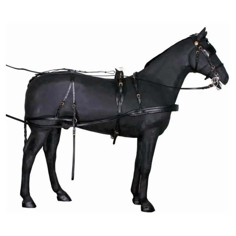 Tattini Finimento Singolo Pony Offerta