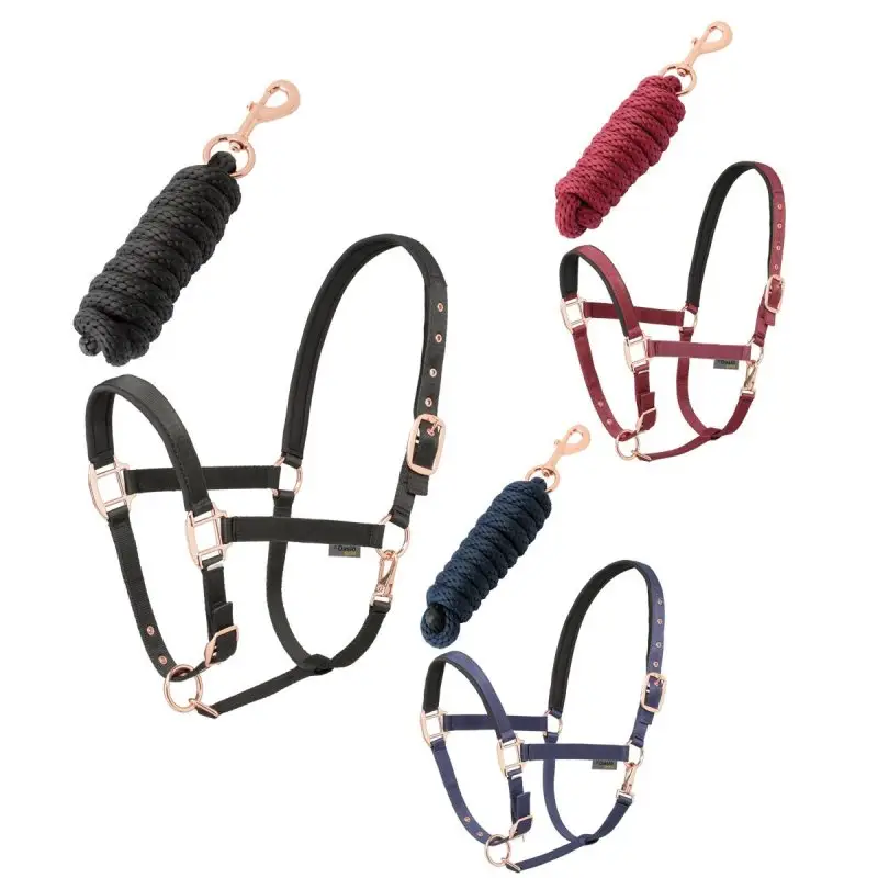 Consegna Rapida Daslo Gold Set Capezza e longhina