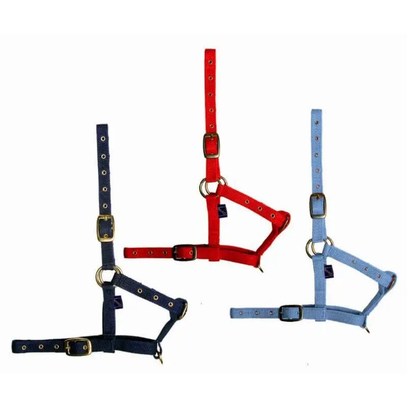 Tattini Capezza in nylon da Puledro Pagamento Sicuro