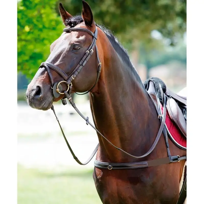 Occasione Imperdibile Tattini Pettorale elastico con collarino sfilabile