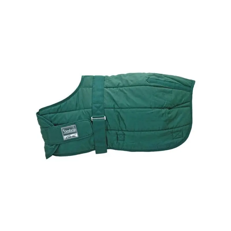 Umbria Equitazione Coperta per puledri 250g Foal Prezzo Di Fabbrica