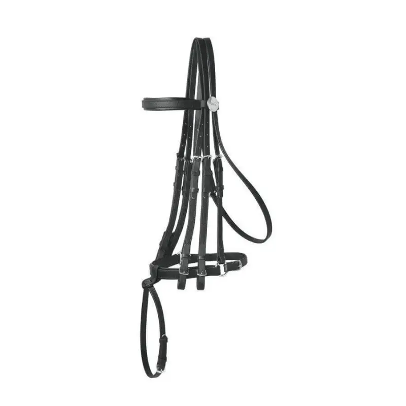 Nuova Collezione Tekna Briglia da dressage in PVC