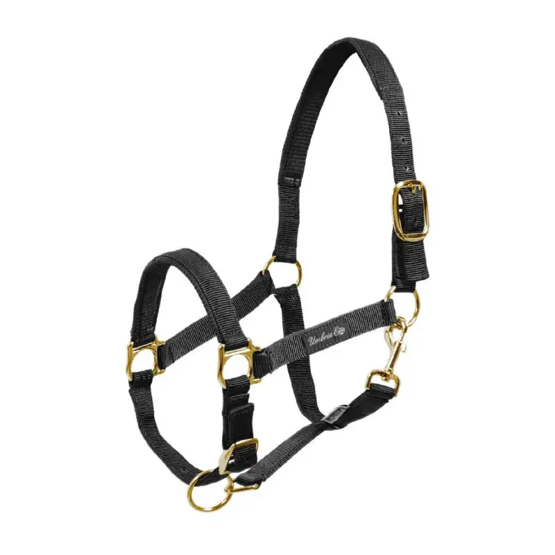 Affare Umbria Equitazione Cavezza in nylon e rinforzo in neoprene