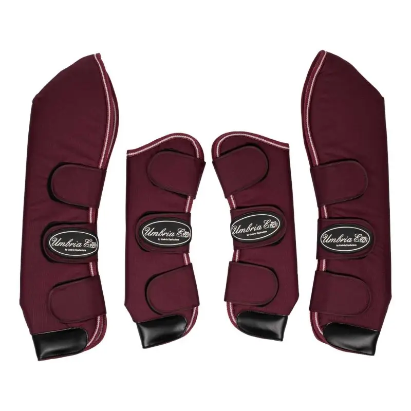 Umbria Equitazione Paracolpi con rinforzo in pelle da trasporto set 4pz Occasione Imperdibile