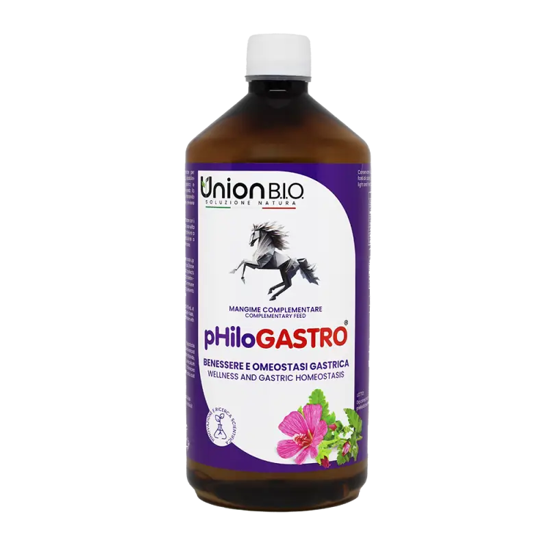Union Bio Philogastro coadiuvante nella gastrite del cavallo Ultima Occasione