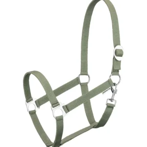Capezza Super-Conveniente Nuova Collezione