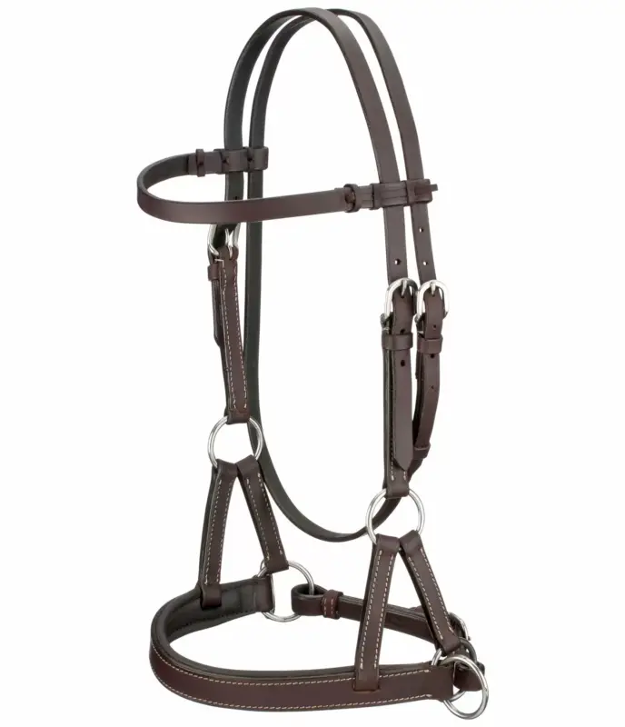 Occasione Sidepull Basic