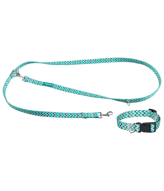 Set collare &guinzaglio Zap Reso Gratuito