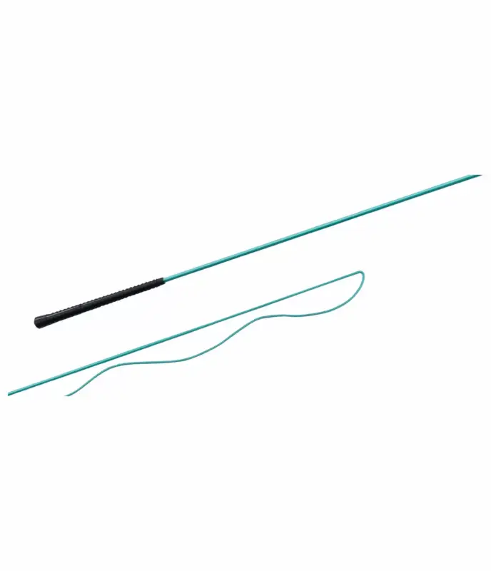 Offerta Lampo Frusta da addestramento Smart