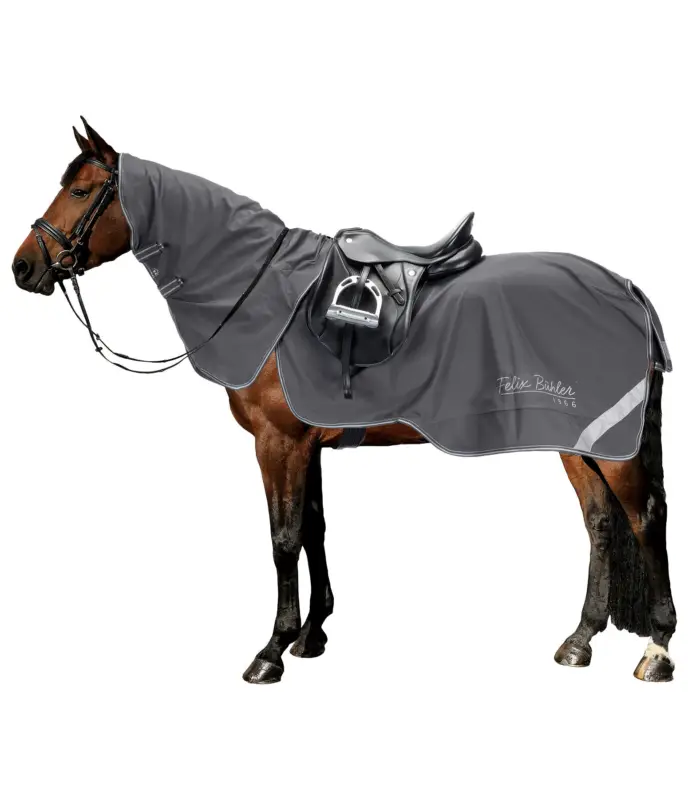 Nuovo Arrivo Coperta da passeggiata in softshell con collo rimovibile Alecto