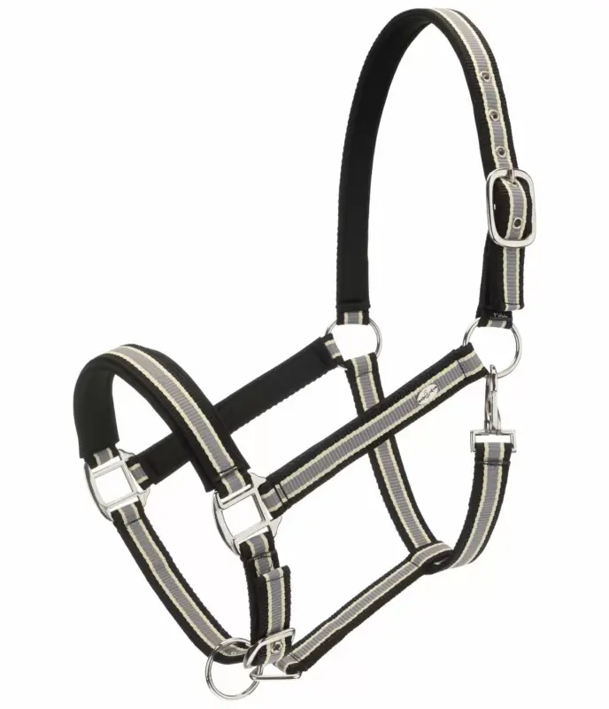 Capezza Basic Consegna Rapida