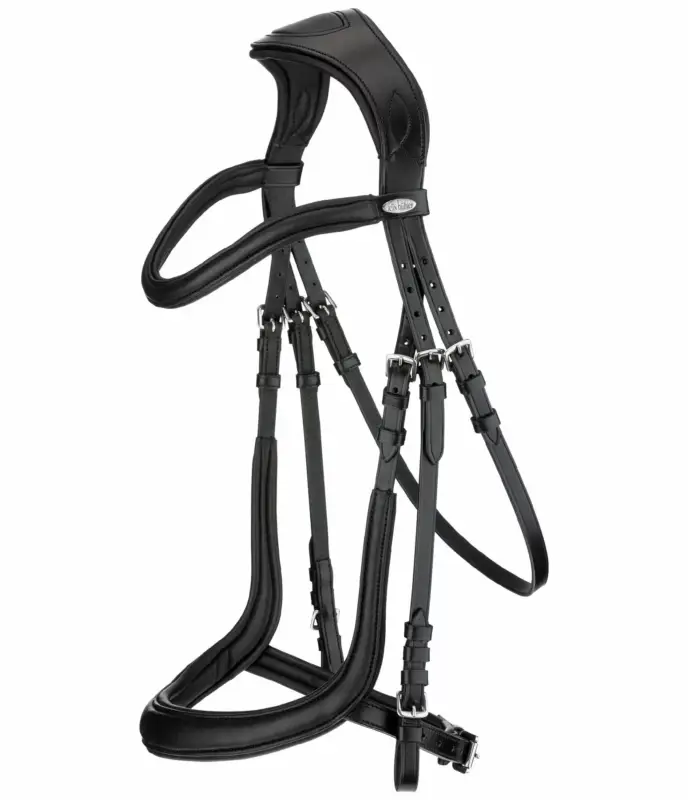 Testiera Gently Anatomical Innovation Promozione