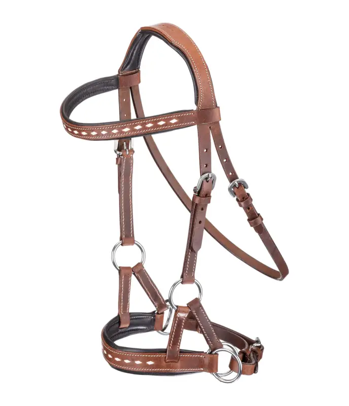 Spedizione Espresso Sidepull Rawhide