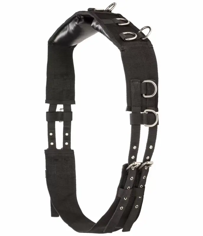 Nuova Collezione Fascione da doma Emma