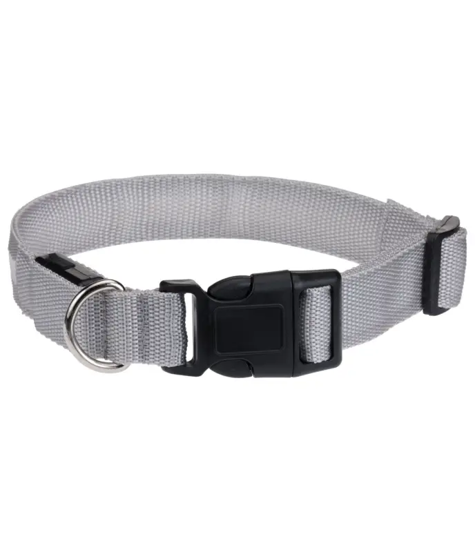 Esclusivo Collare per cani LED Loom