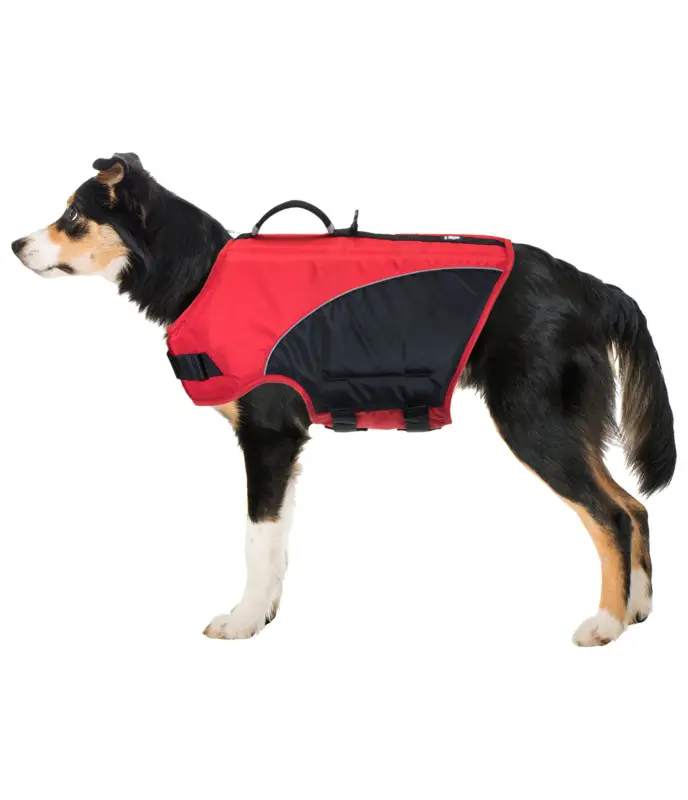 Giubbotto salvagente per cani Life Guard Spedizione Espresso