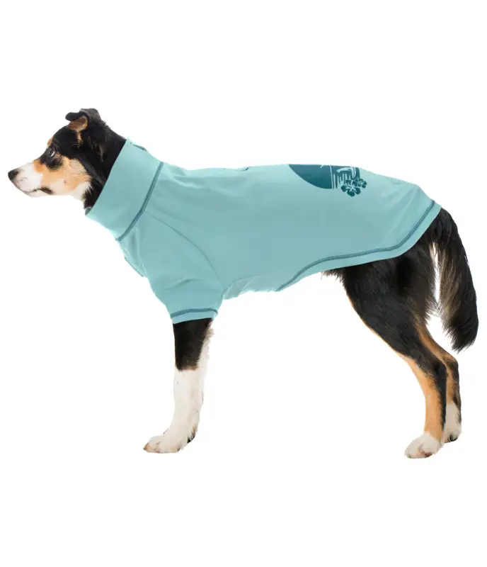Prezzo Scontato T-shirt per cani Sunny, UPF 50+