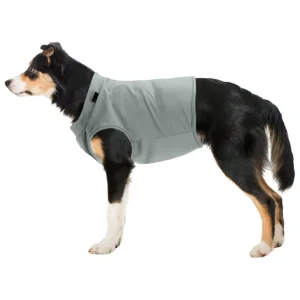 T-shirt rinfrescante per cani Frostie Vendita Finale