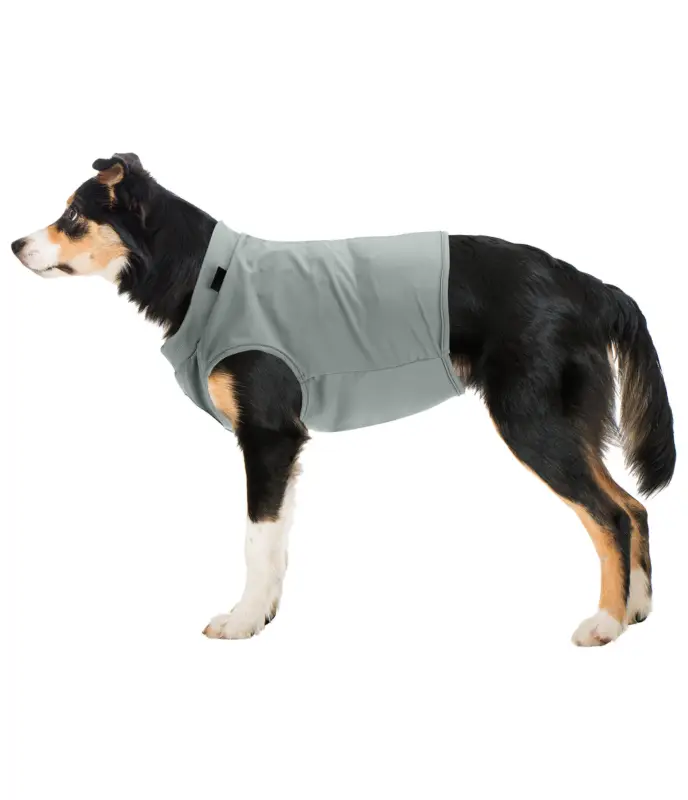 T-shirt rinfrescante per cani Frostie Vendita Finale