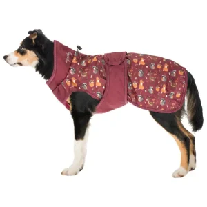 Compra Adesso Impermeabile per cani Pumpkin Spice, 0 g