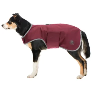Softshell Walker per cani Athlete, 0 g Di Tendenza