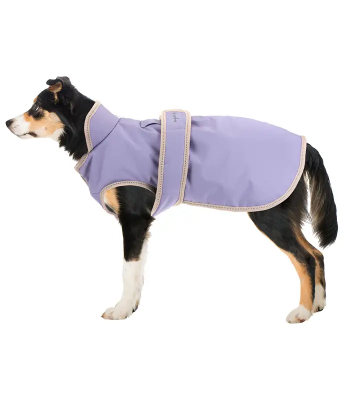 Direttamente Dal Produttore Cappotto invernale per cani con pile Eddie, 200 g