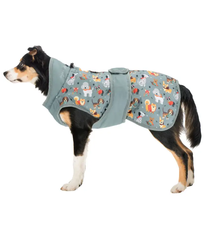 Nuovo Arrivo Cappotto invernale per cani Candy Cane, 120 g