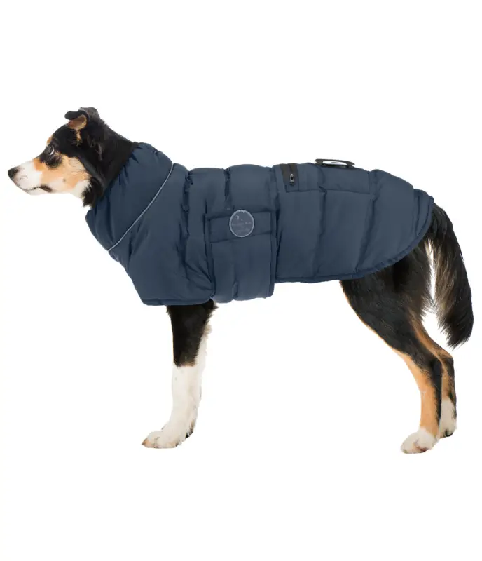 Cappotto LED trapuntato per cani Arlo, 300 g Esclusivo