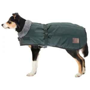 Cappotto invernale per cani Gizmo con pelliccia, 200 g Spedizione Espresso