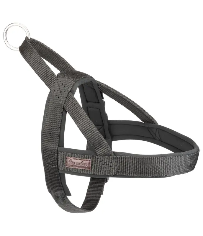 Pettorina norvegese Miley Nuova Collezione