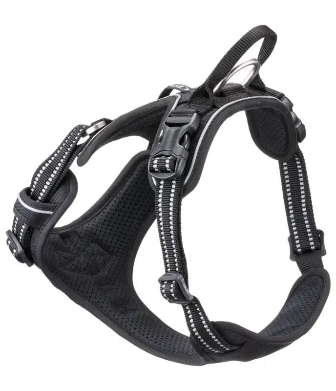 Pettorina Expedition Compra Online