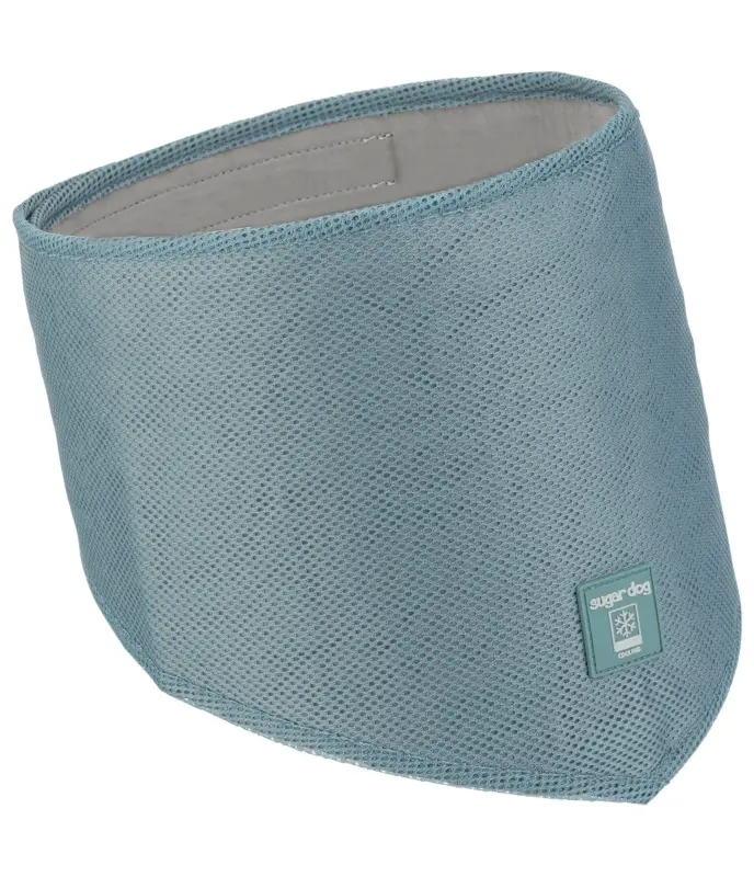 Bandana per cani Cooling Occasione Imperdibile