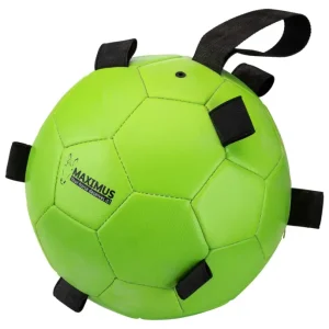 Fun Play Ball Novità