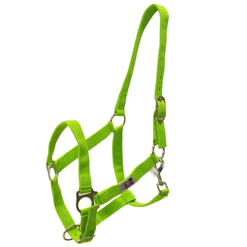 Offerta Speciale Cavezza in nylon