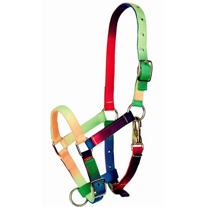 Di Tendenza Cavezza in nylon per puledro multicolore