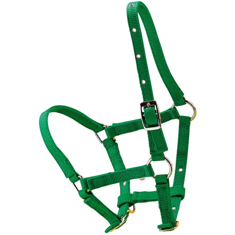 Nuova Collezione Cavezza in nylon per puledro