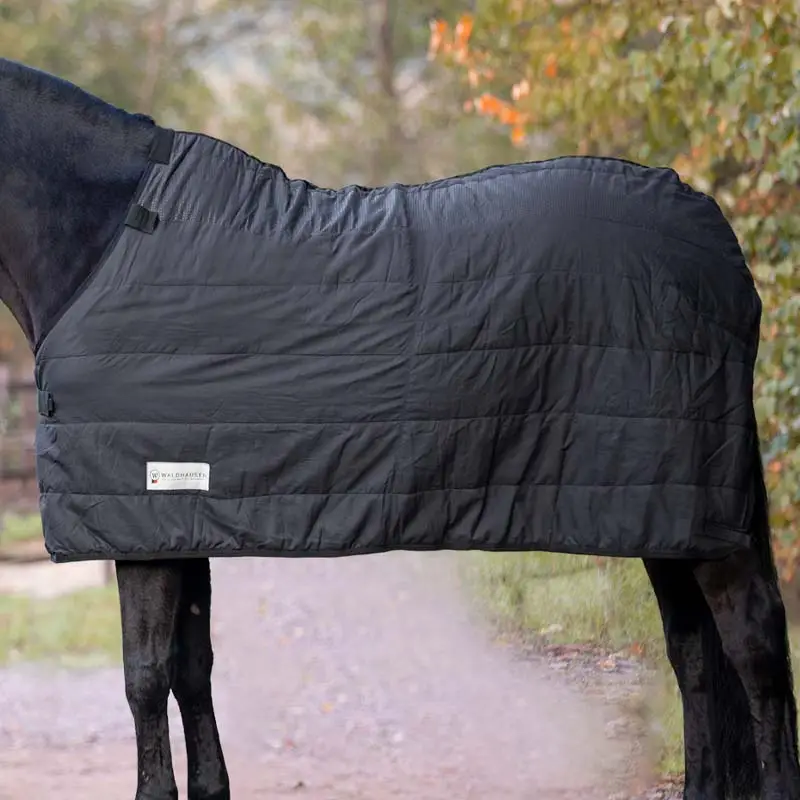 Spedito Oggi Imbottitura interna 200g / Sotto coperta da Paddock Waldhausen