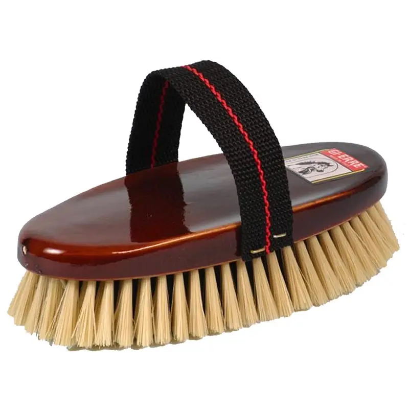 Di Tendenza Spazzola cavallo setole morbide