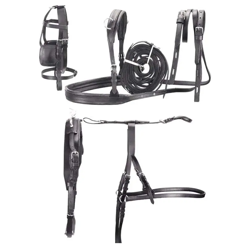 Ultime Pezzi Finimento per calesse in cuoio pony e shetland