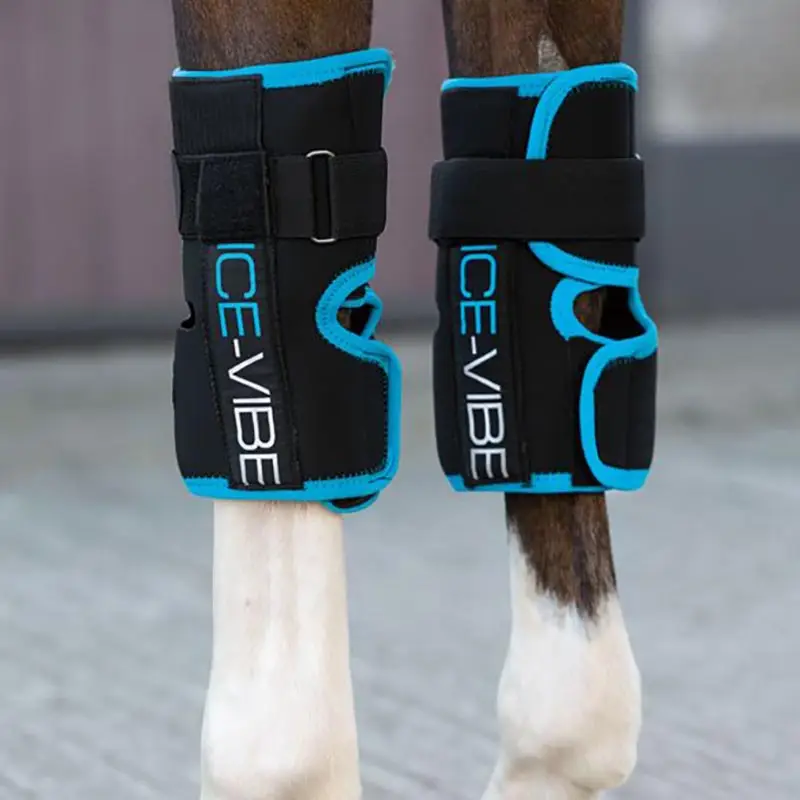Acquista Ora Ginocchiera anteriore Horseware ICE-VIBE knee wrap